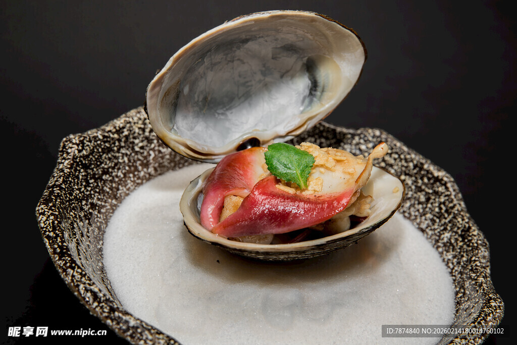 蛤蜊内的美味创意料理