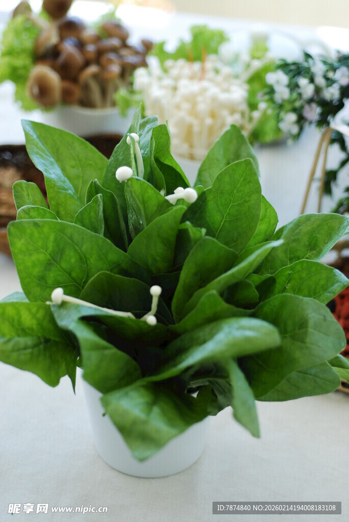 新鲜盆栽蔬菜 绿意盎然