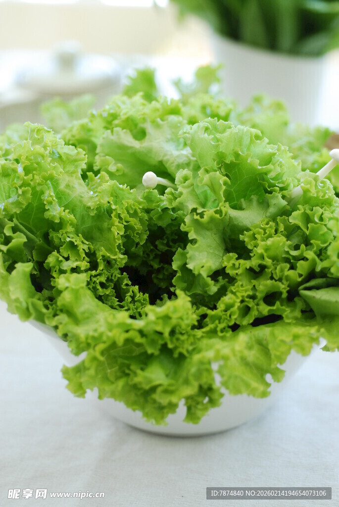 新鲜生菜摆放在白色容器中