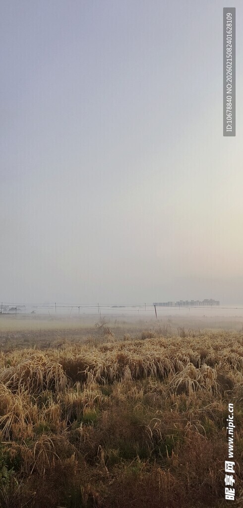 广袤原野的开阔景象