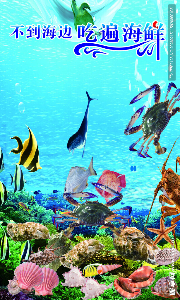 海底奇幻世界 多彩海洋生物