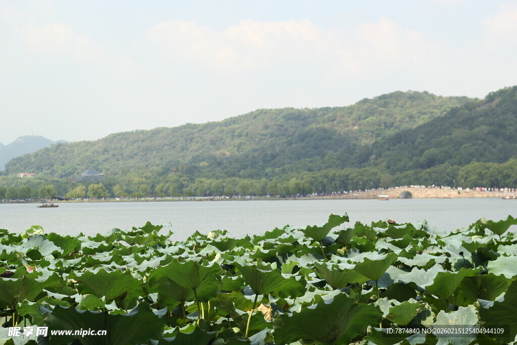湖畔绿植与远山美景