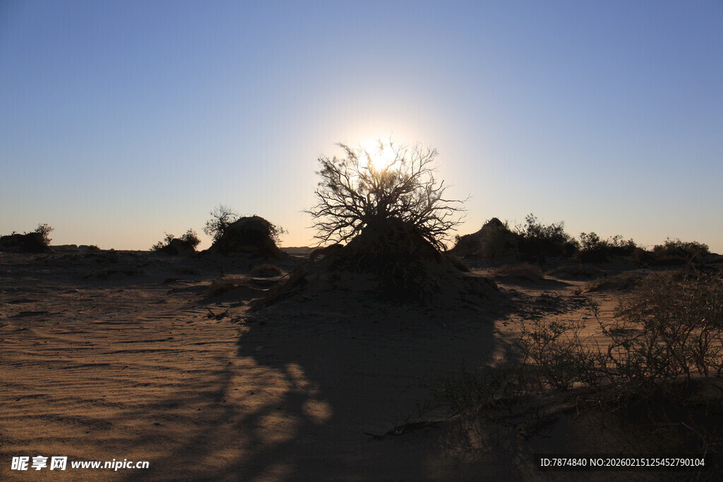 沙漠日落景象