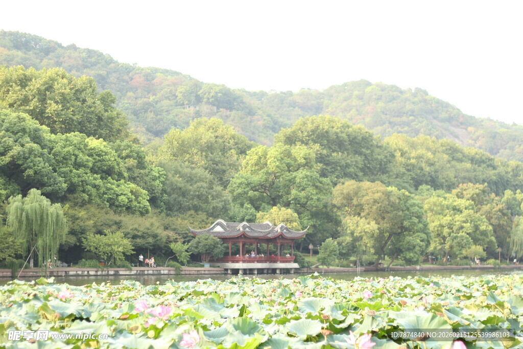 荷塘中的古典建筑