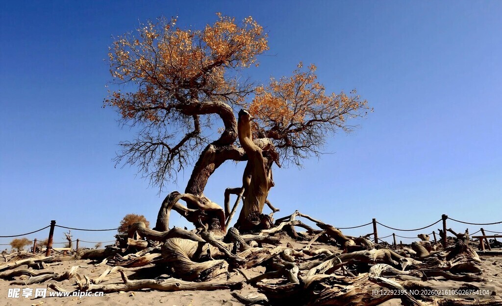 我顽强地屹立着