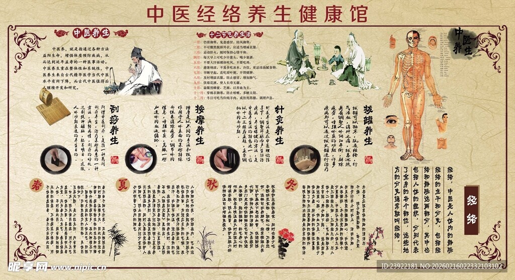 中医经络穴位示意图