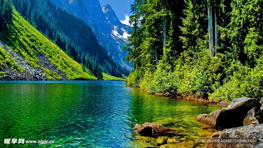 翠绿山林间的静谧湖水