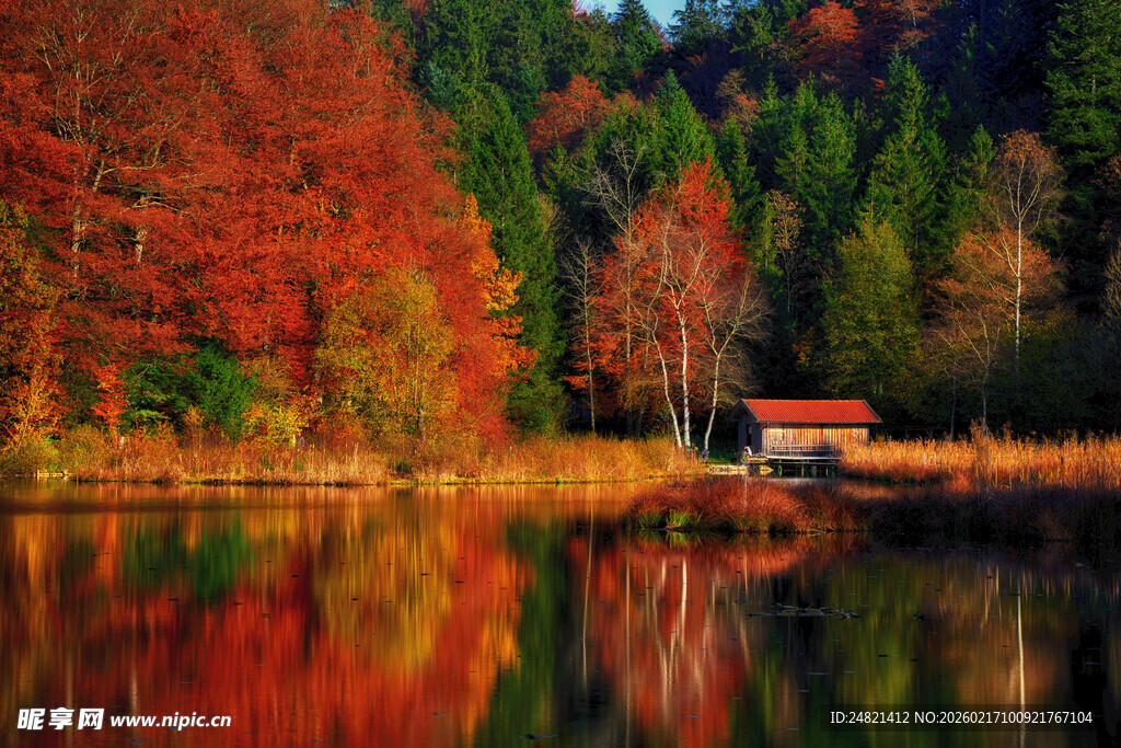 秋日湖畔红叶小屋美景