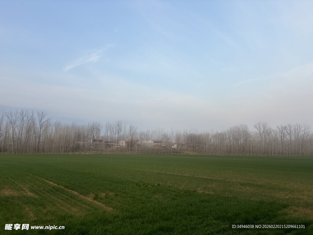 广阔绿野与蓝天