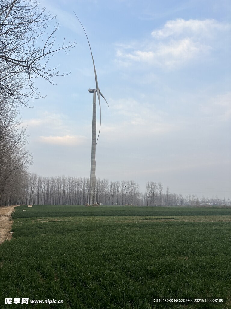 田野中的高大风力发电机