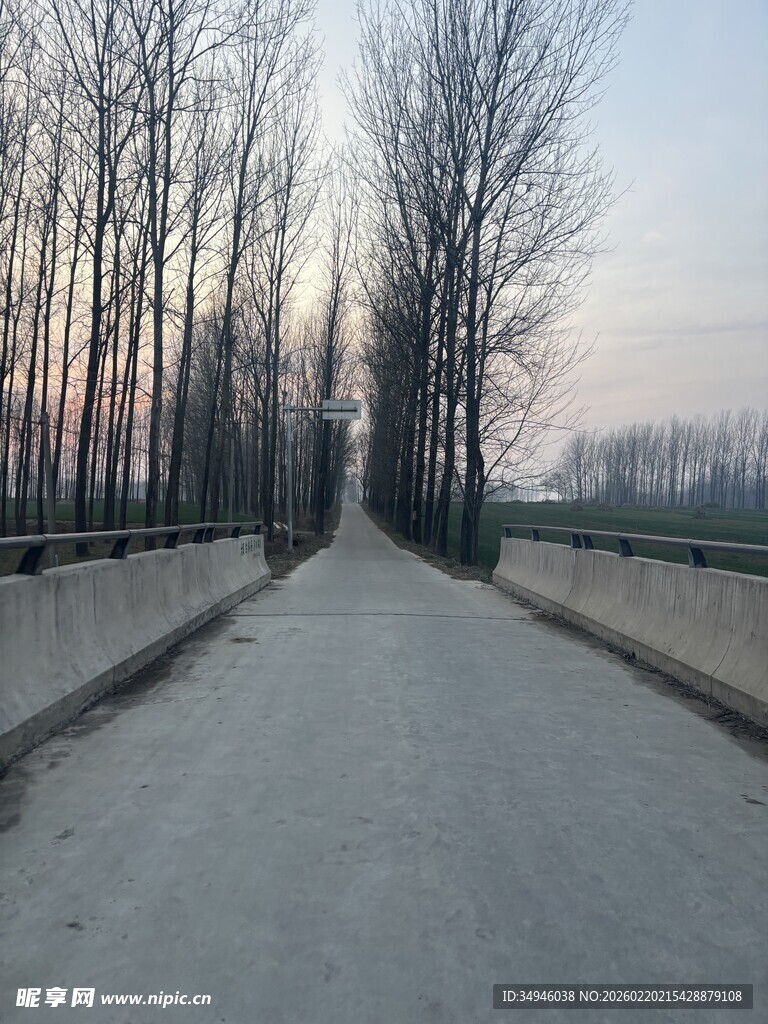 冬日林间寂静小路