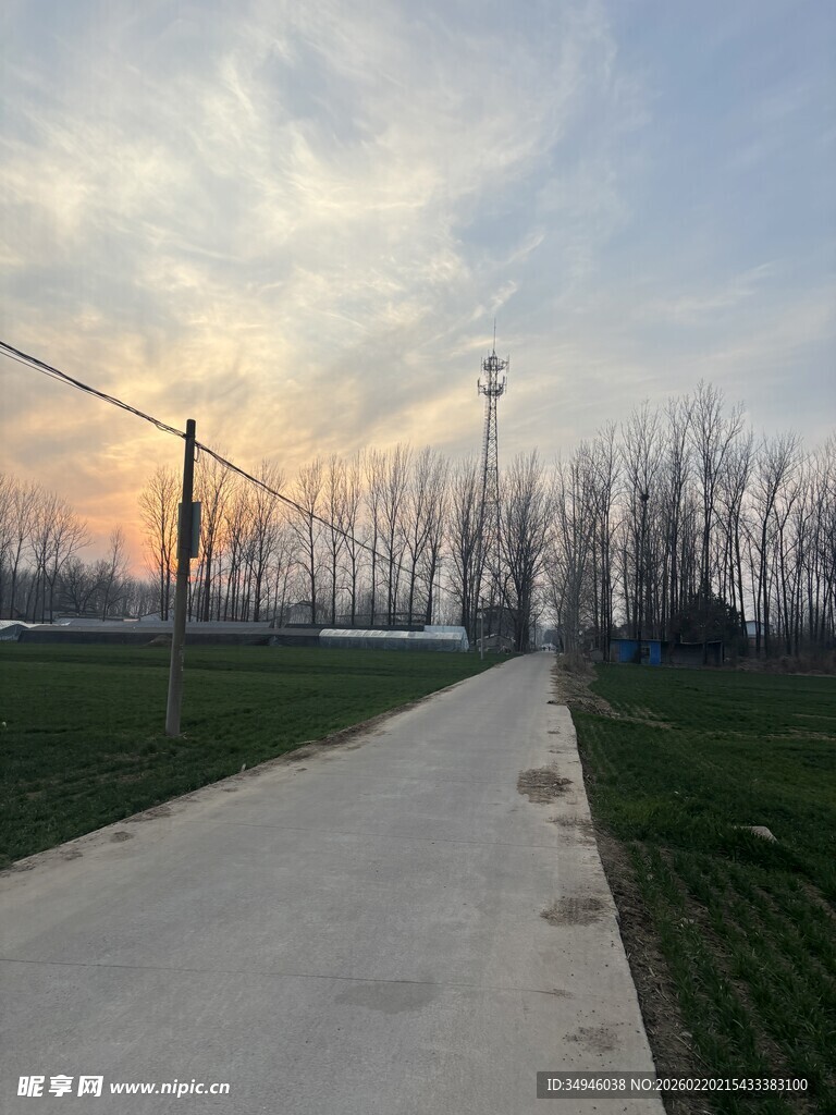 乡村黄昏小路田野景象