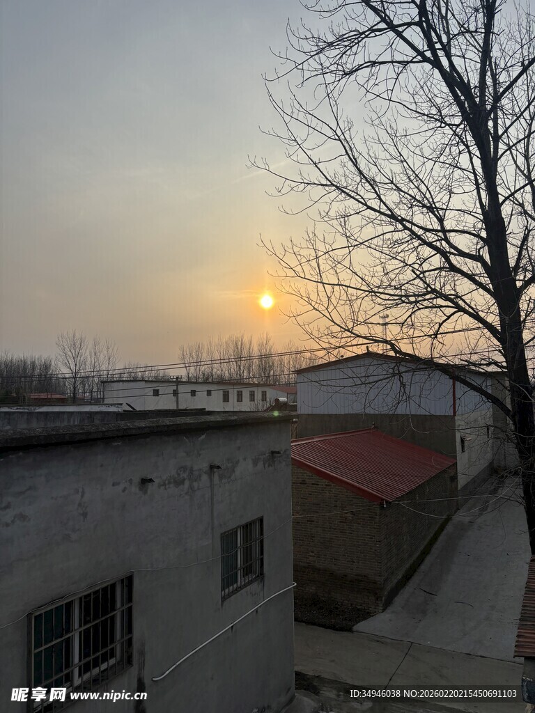 夕阳下的屋顶与光秃树木