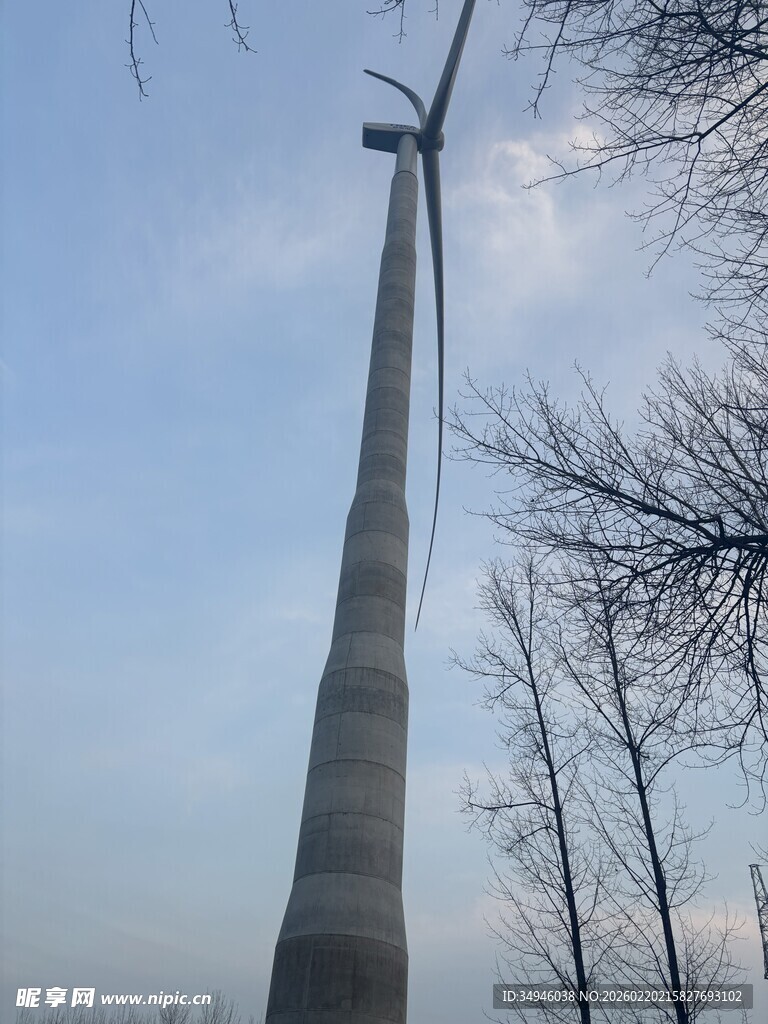 高耸风车与萧瑟树木景观