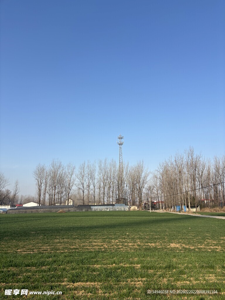 开阔草地与蓝天风景