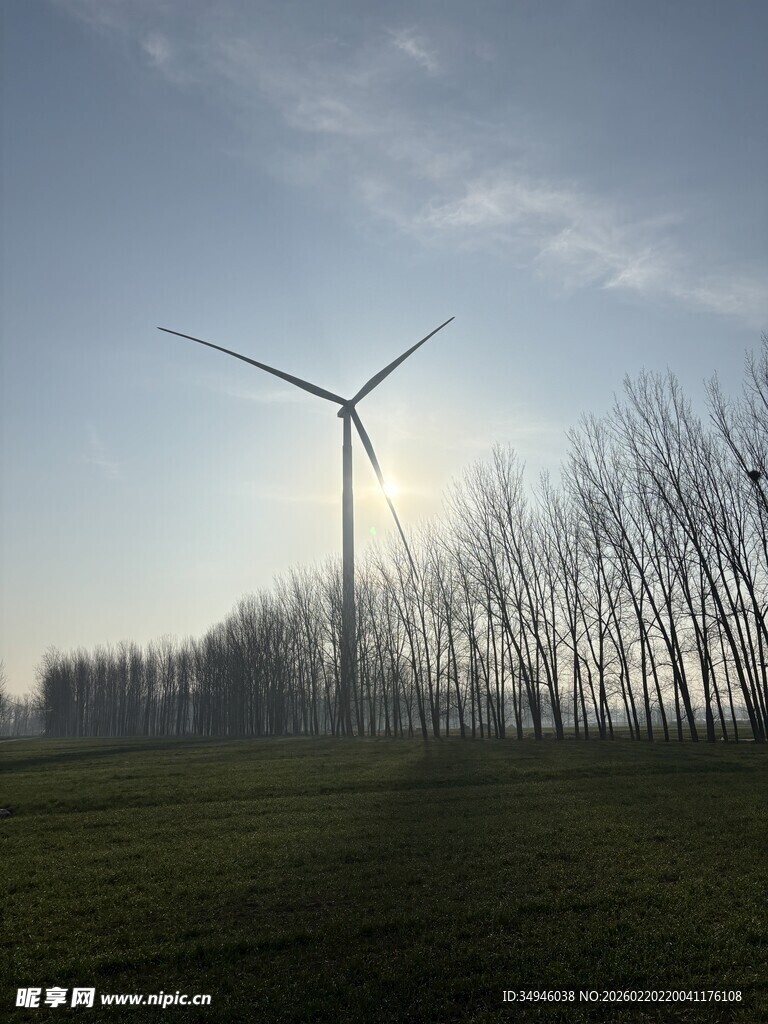 田野中风车与光秃树木景观
