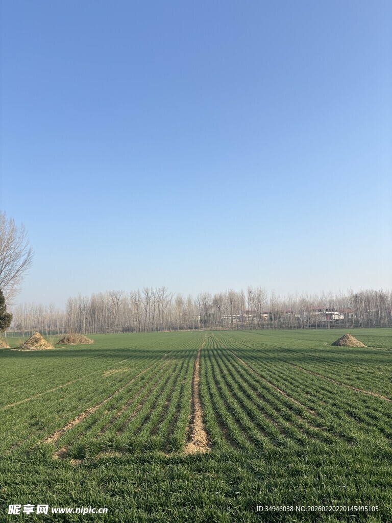 广袤农田绿意盎然