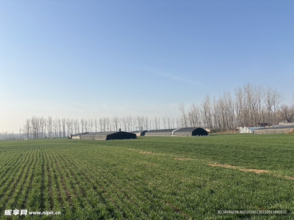 广阔农田与远处建筑景观