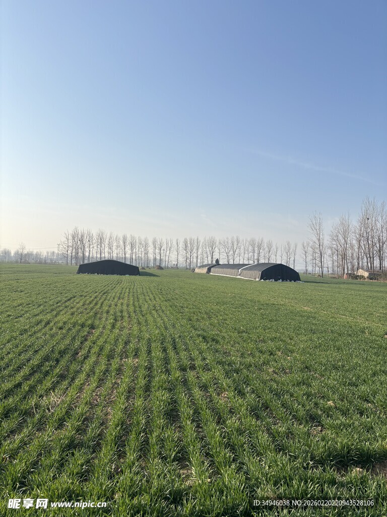 广袤农田绿意盎然