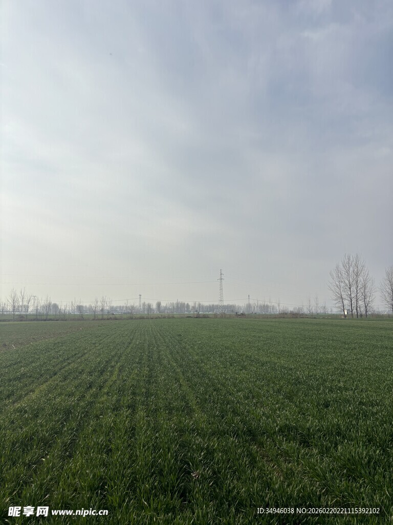 广袤田野绿意盎然