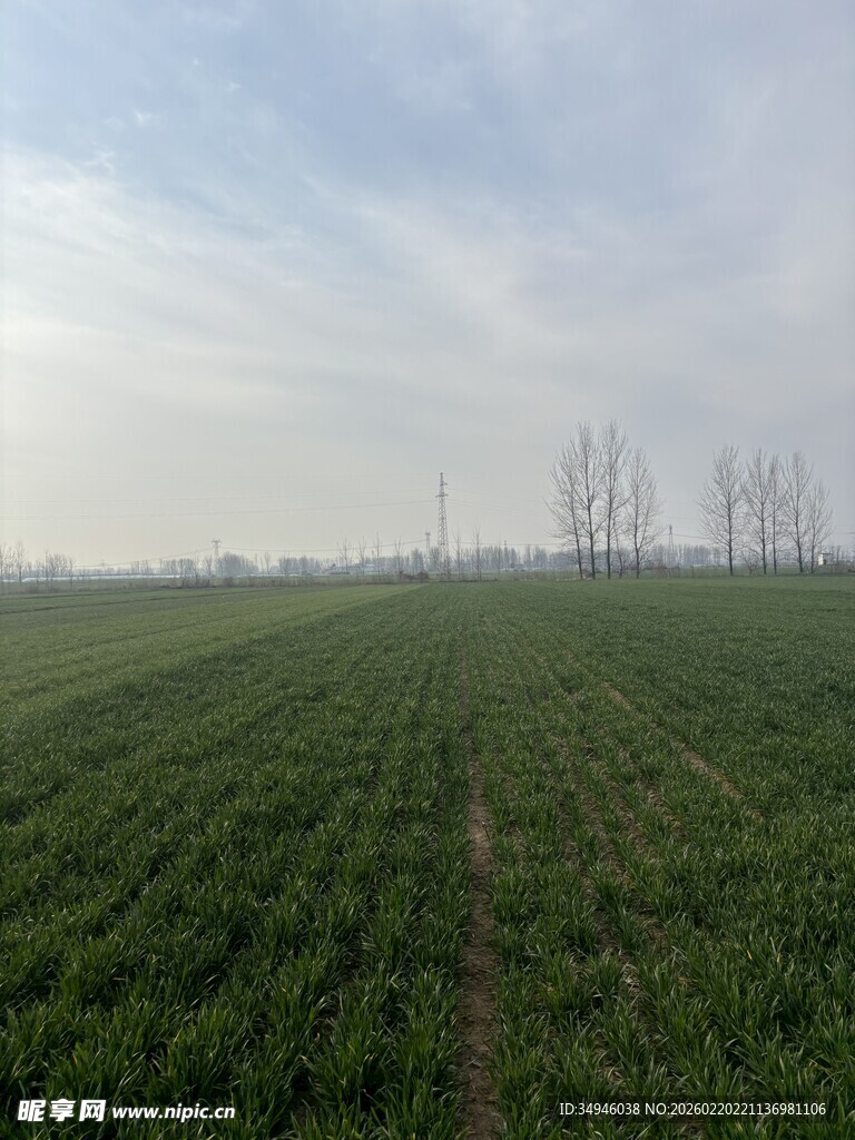 广袤农田绿意盎然