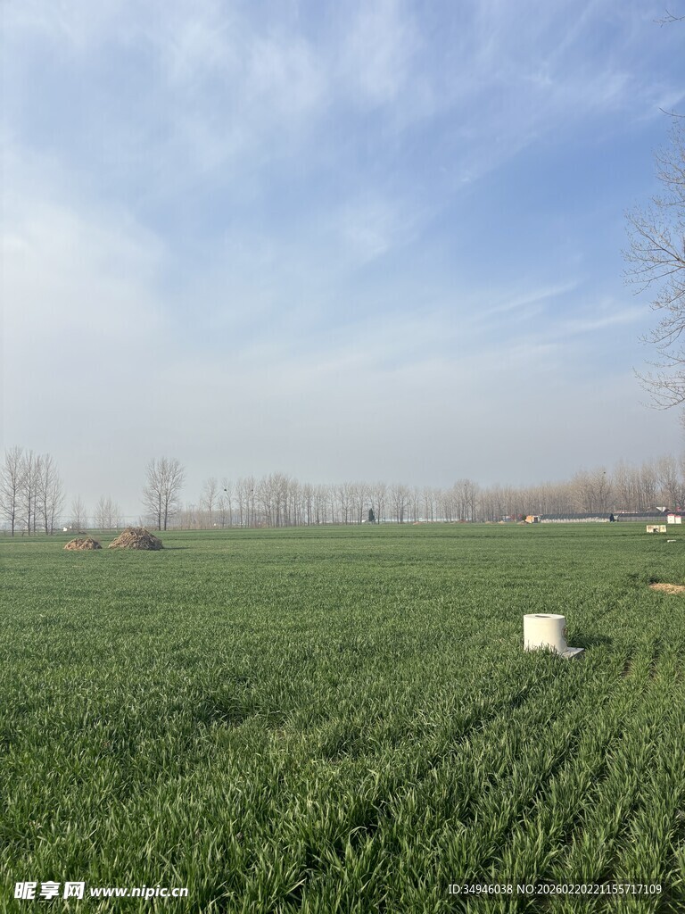 广袤田野绿意盎然