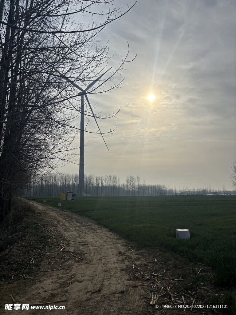 乡间小路旁的风力发电景观