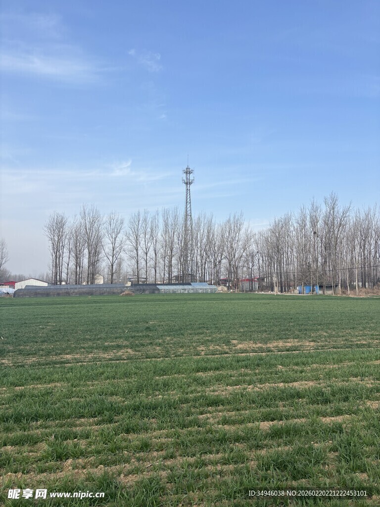 广阔田野与远方树木