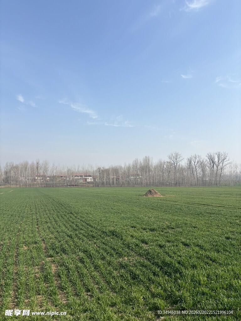 广袤绿野田园风光