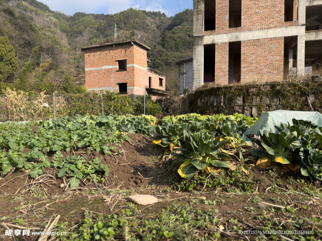 乡村菜园与砖房景观
