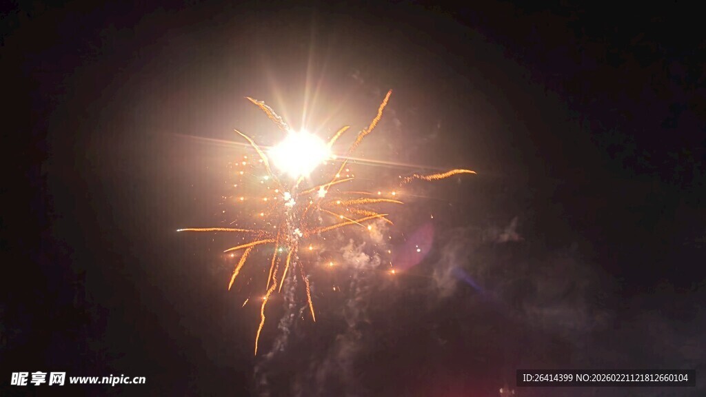 夜空中绚烂绽放的烟花