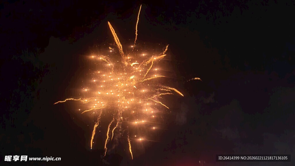 夜空中绚烂的金色烟花