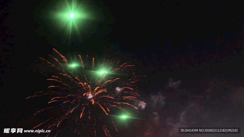 夜空中绚烂的绿色烟花