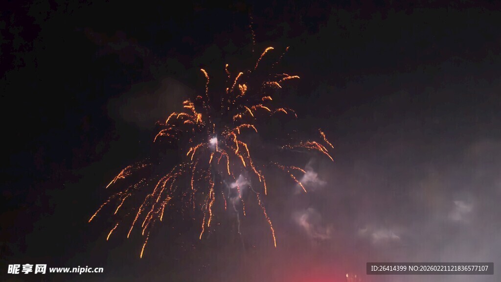 夜空中绚烂的烟花绽放