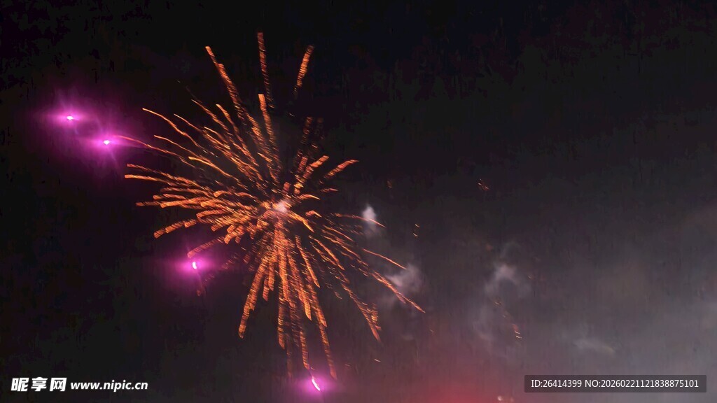 夜空中绚烂的烟花绽放