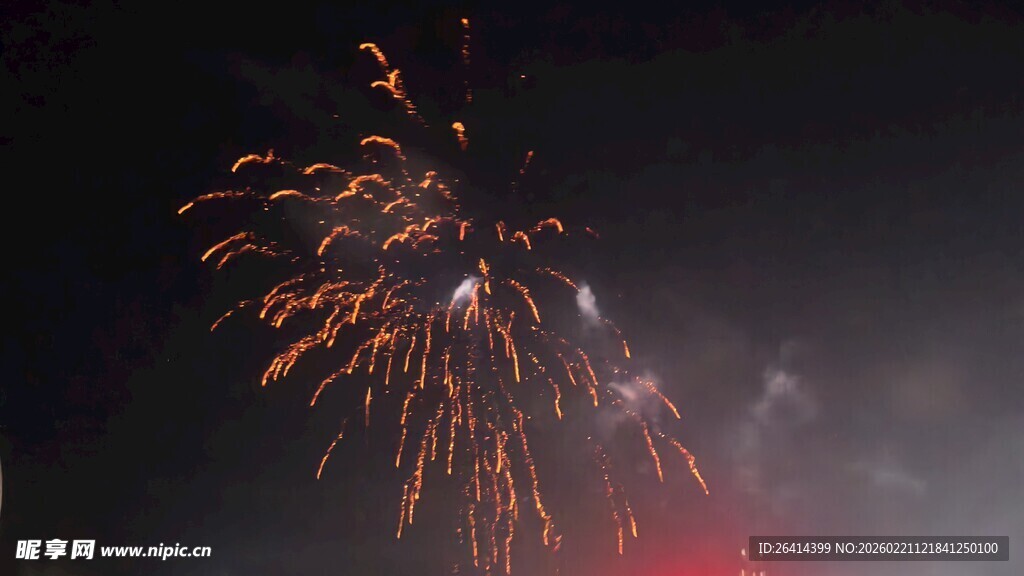 夜空中绚烂绽放的烟花