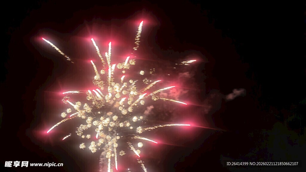 夜空中绚烂的粉色烟花