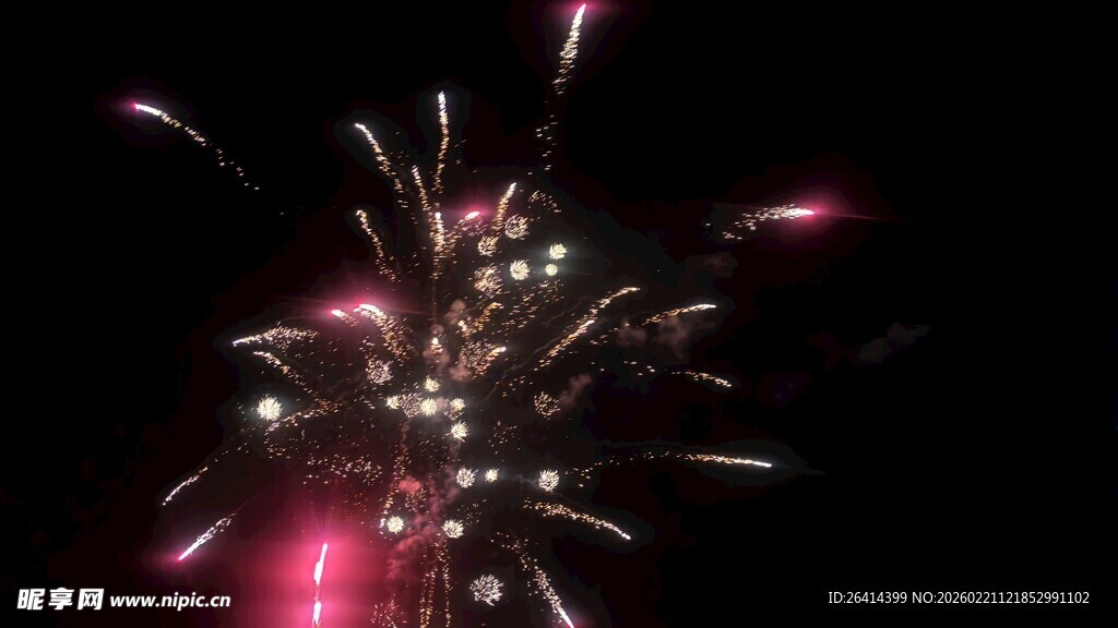 夜空中绚丽绽放的烟花