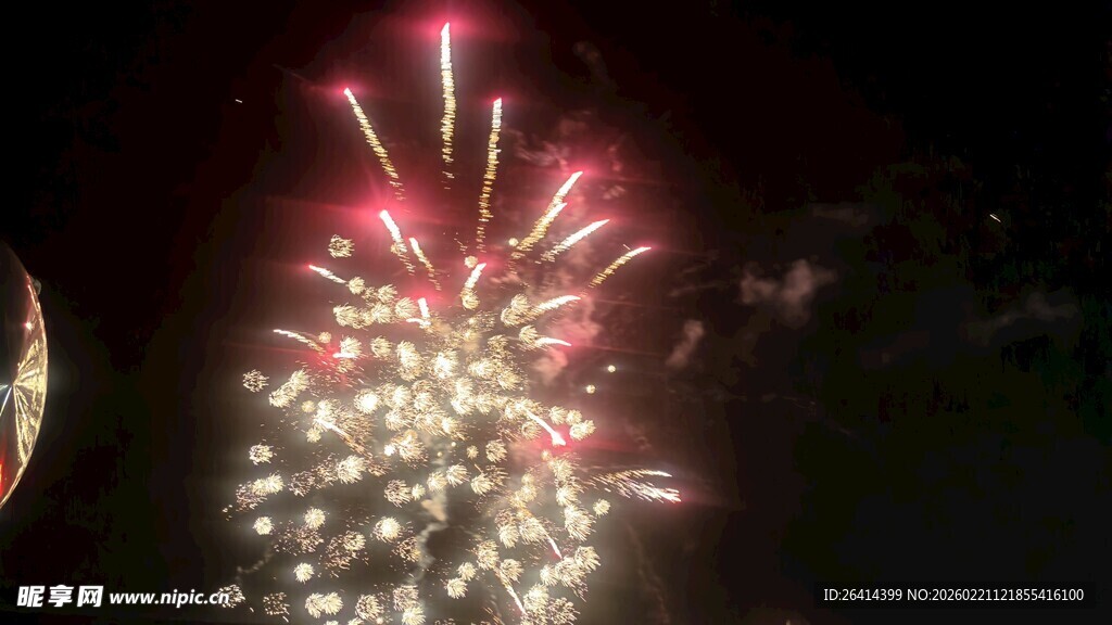 夜空中绚烂绽放的烟花