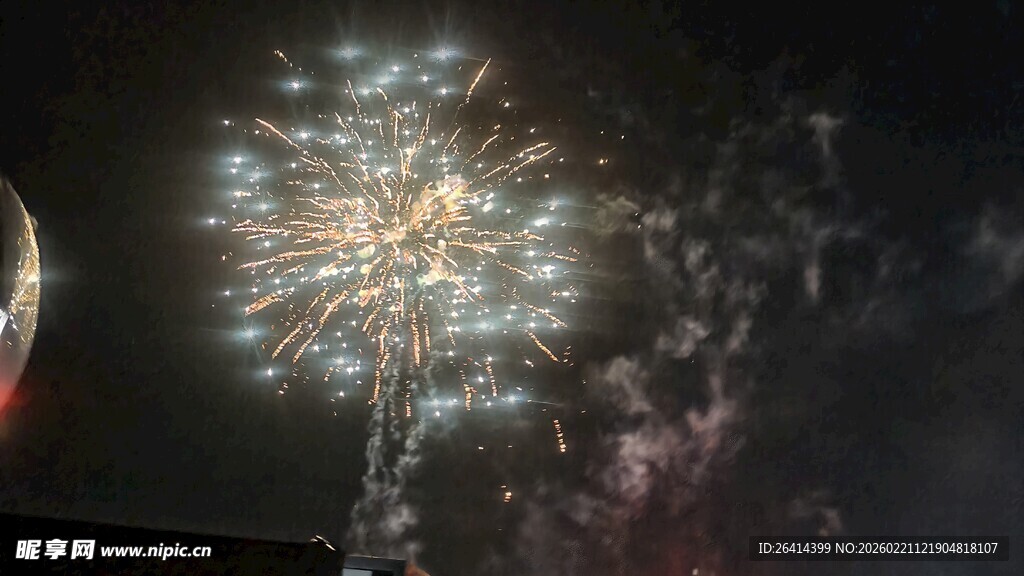 夜空中绽放的绚丽烟花
