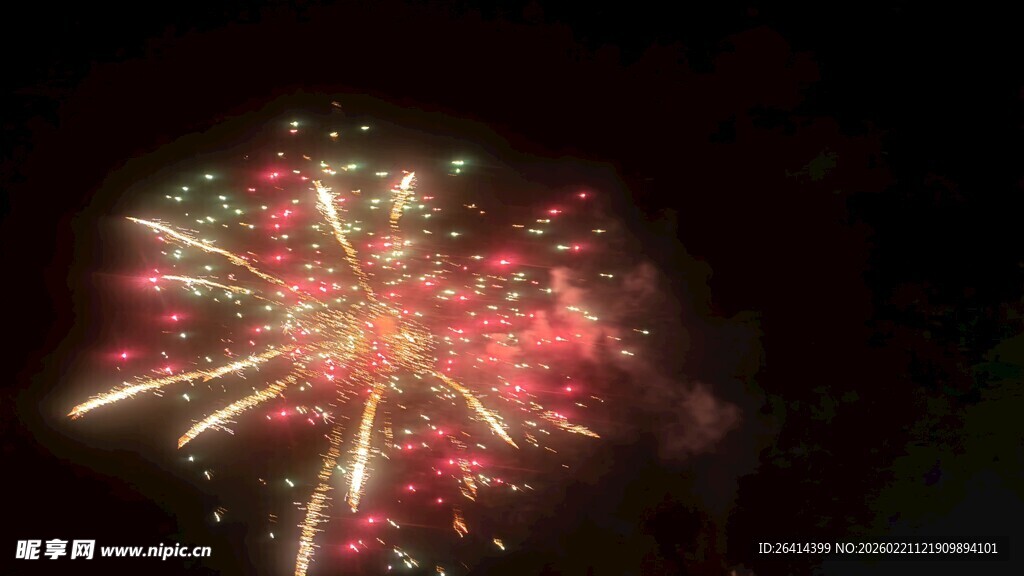 夜空中绚烂的烟花绽放