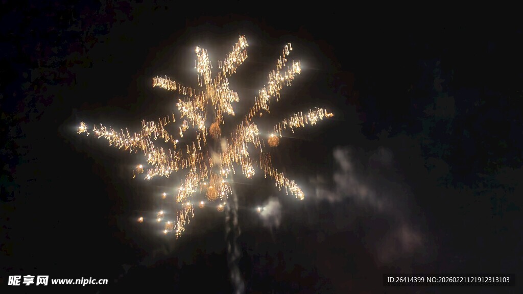 夜空中绚烂绽放的烟花
