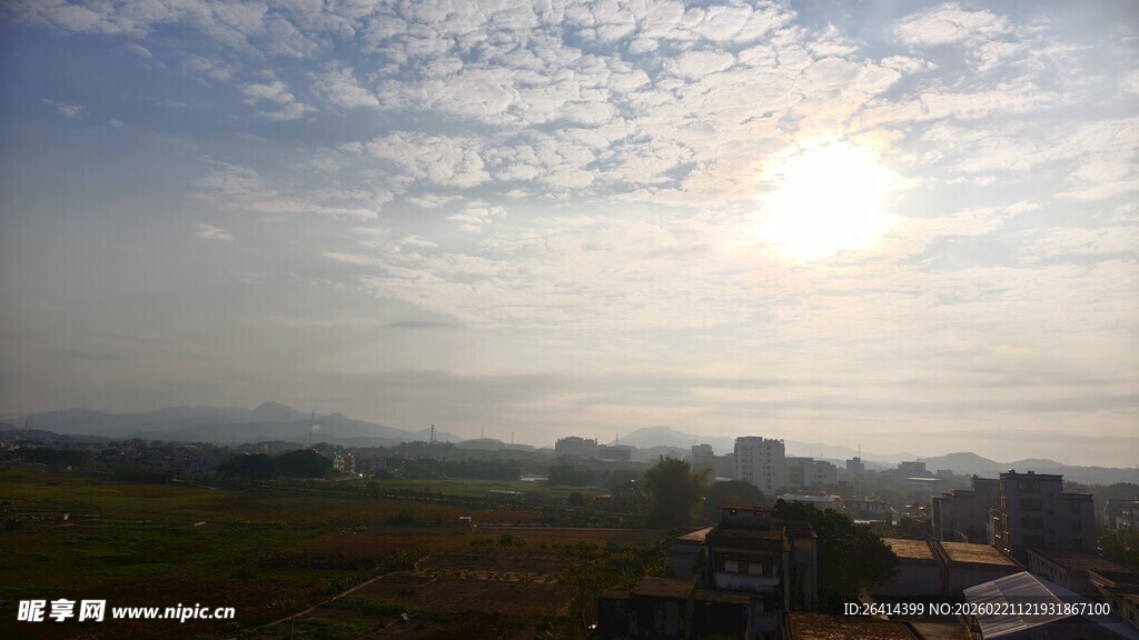 日出时分的田野景色