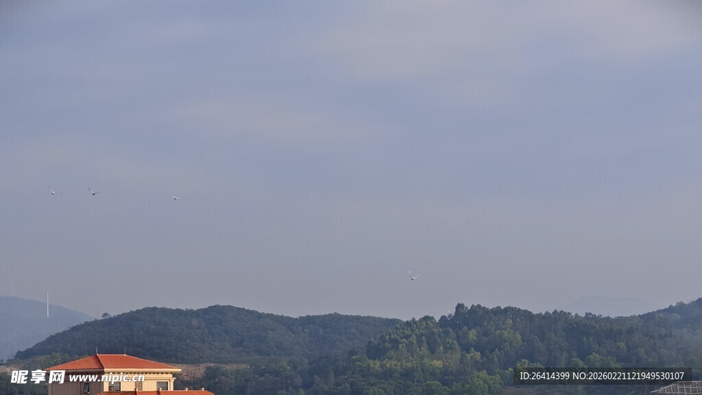 山间红顶房屋远景