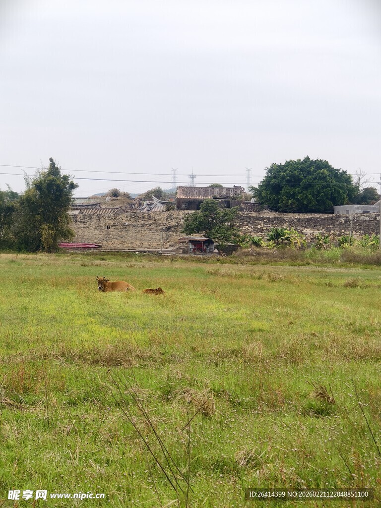 广袤绿野中的远处建筑