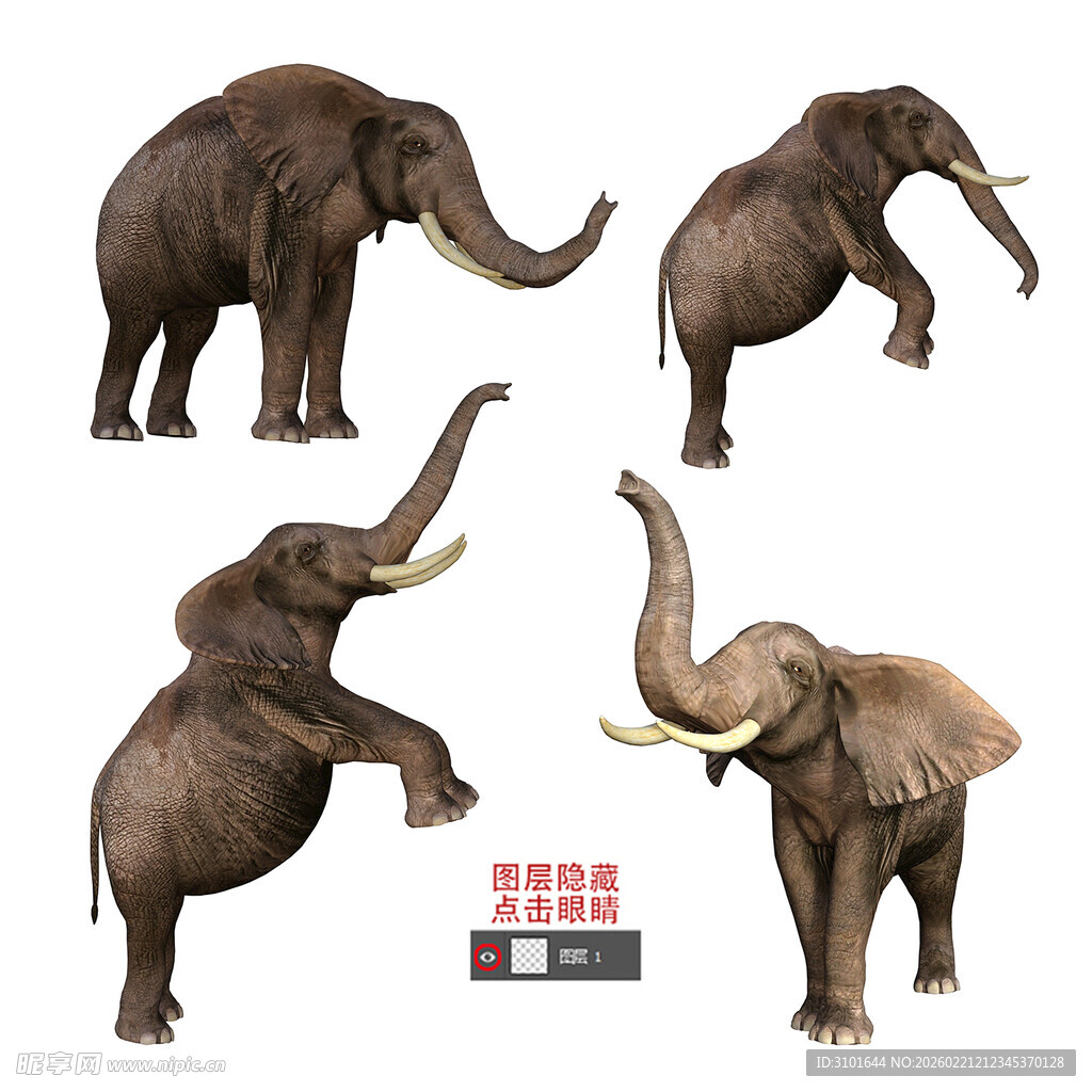 3D大象