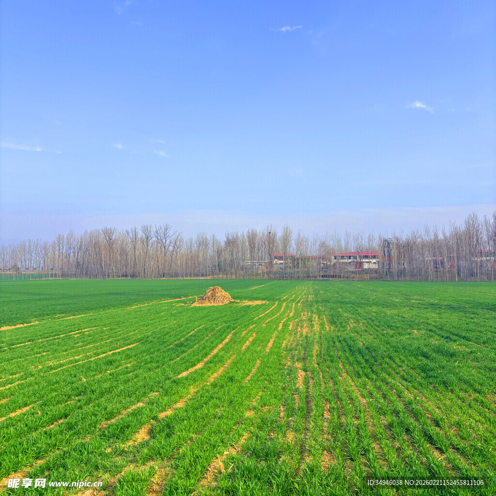 广袤绿野间的宁静田园风光