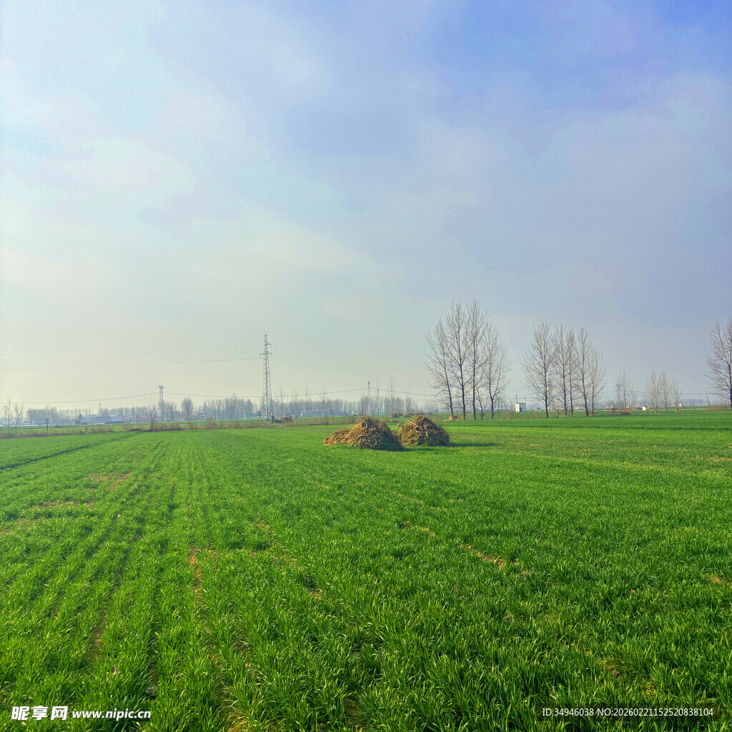 绿色田野中的农机作业场景