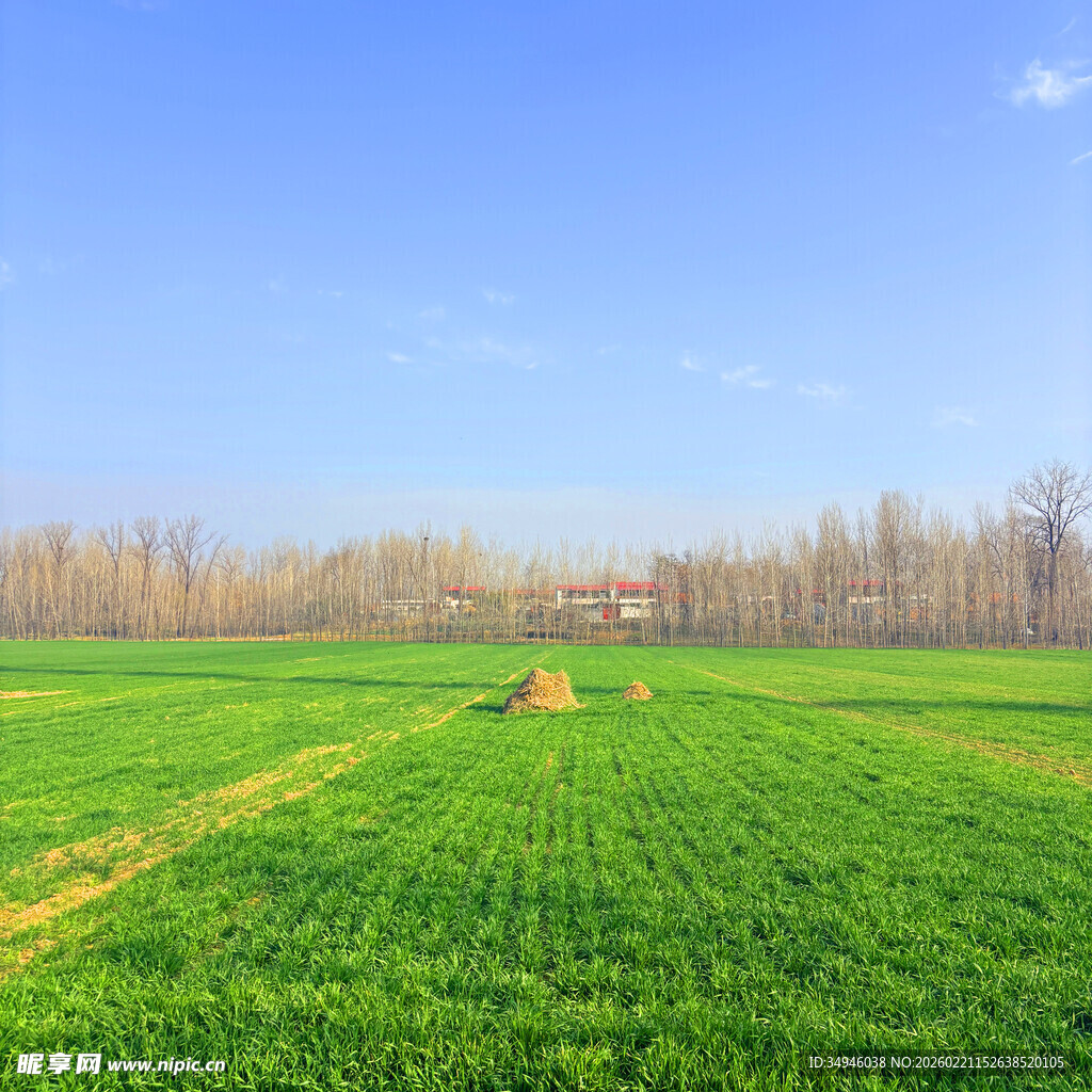 春日绿野中的耕耘场景