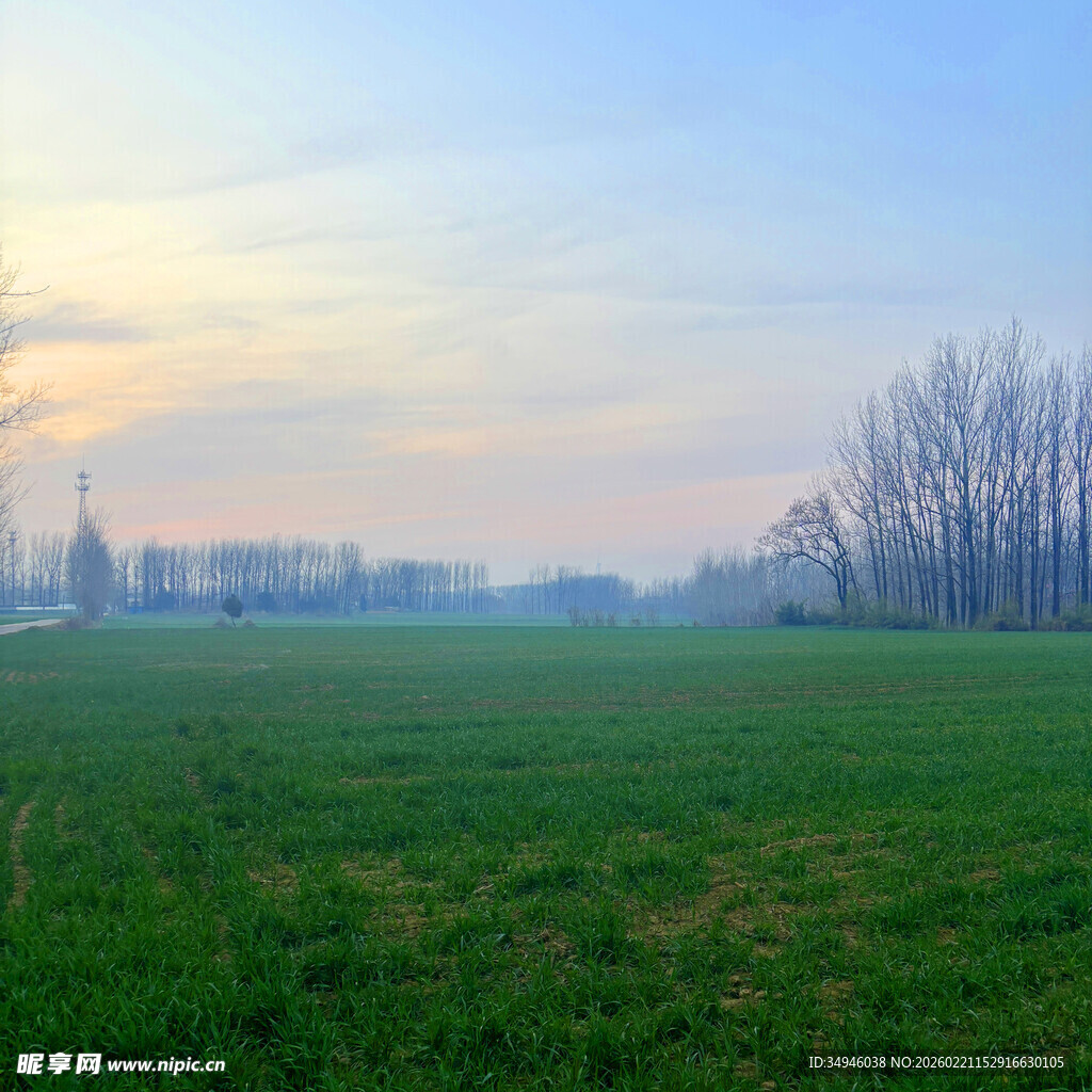 田野晨光美景